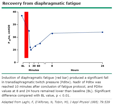 diaphragm.jpg
