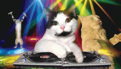 djcat.gif