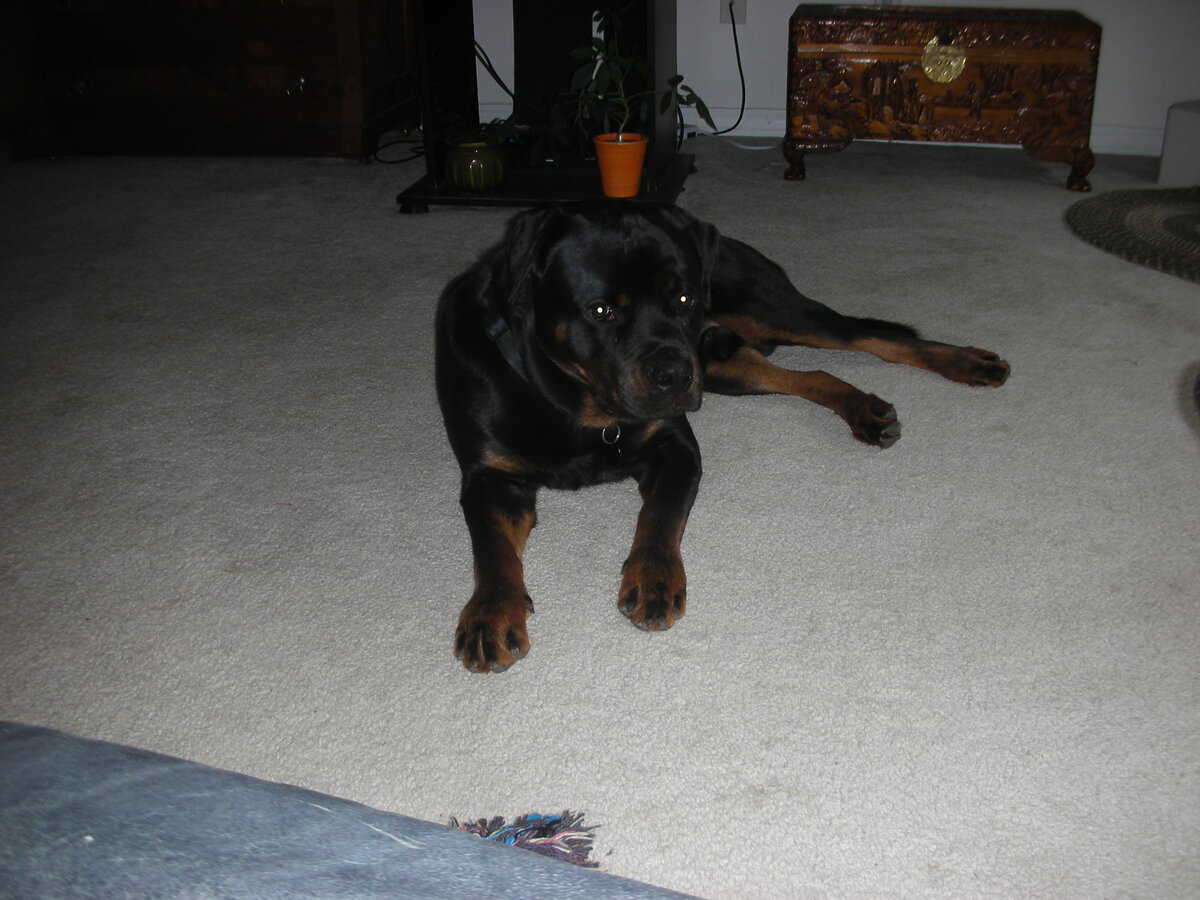 DSCN0444.JPG