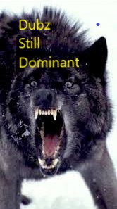 dubzwolf.jpg