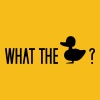 duck.jpg