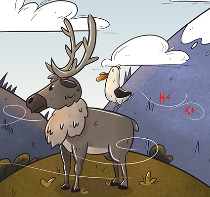 Elk and albatross.png