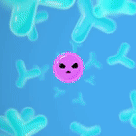 ezgif.com-crop.gif