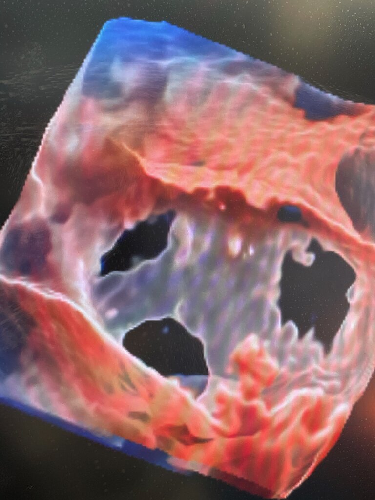 F6C846FE-EF0B-4208-B3A1-A0C592EB7766.jpeg
