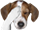 failpuppo.png