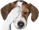 failpuppo.png