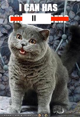 famous-cat-meme-which-started-and-launched-the-website-i-can-haz-cheezburger.jpeg