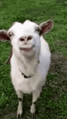 FB3EDDBC-46A1-4B01-B94C-B887301B15EA.gif