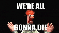 FB6E879F-FAFF-44C1-81D8-64D52CA13E2D.gif