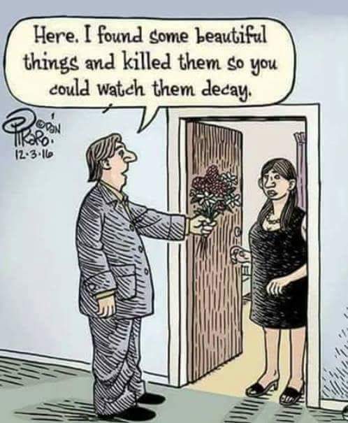 FB_IMG_1488580092915.jpg