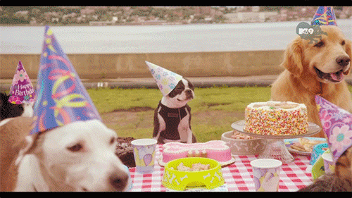 FD1E4A08-A8DD-41D2-B8DF-F93CF9FC5897.gif