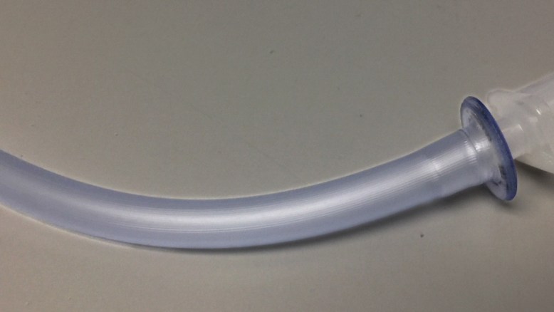Fig6a_nasal-airway.jpg