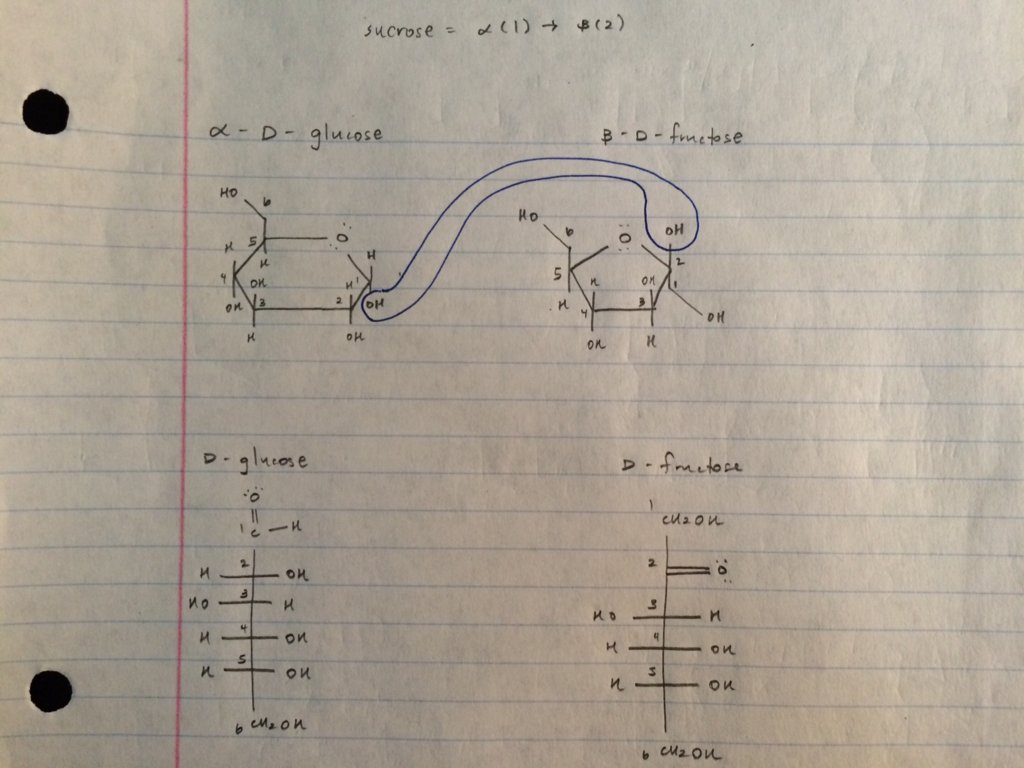 FullSizeRender-19.jpg