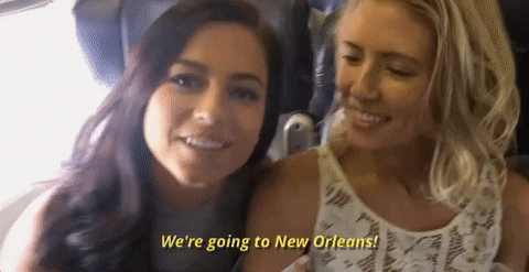 giphy (28).gif