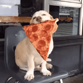 giphy-3.gif