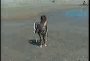 giphy.gif