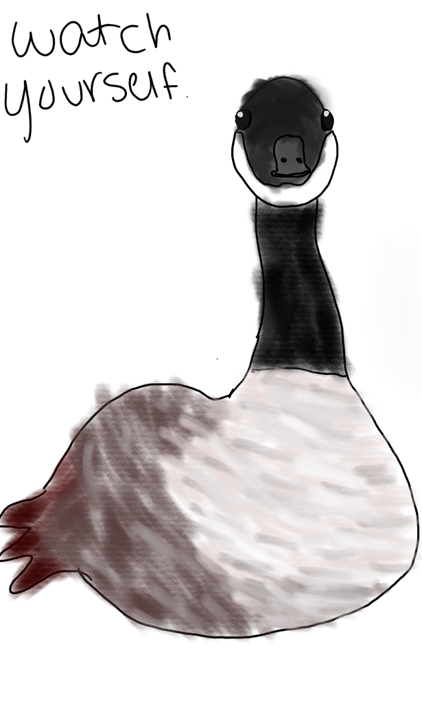 goose.png