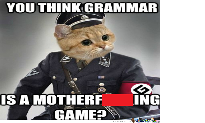 Grammar cat.png