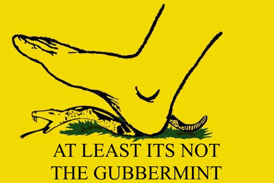 gubbermint.jpg