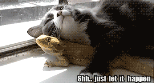 happen.gif