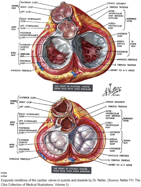 HeartViews_2011_12_2_83_86023_il8.jpg