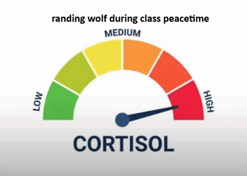high-cortisol.png
