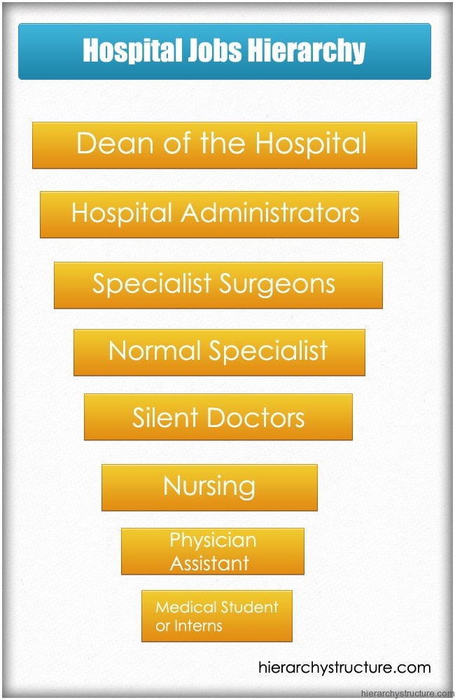 Hospital-Jobs-Hierarchy.jpg