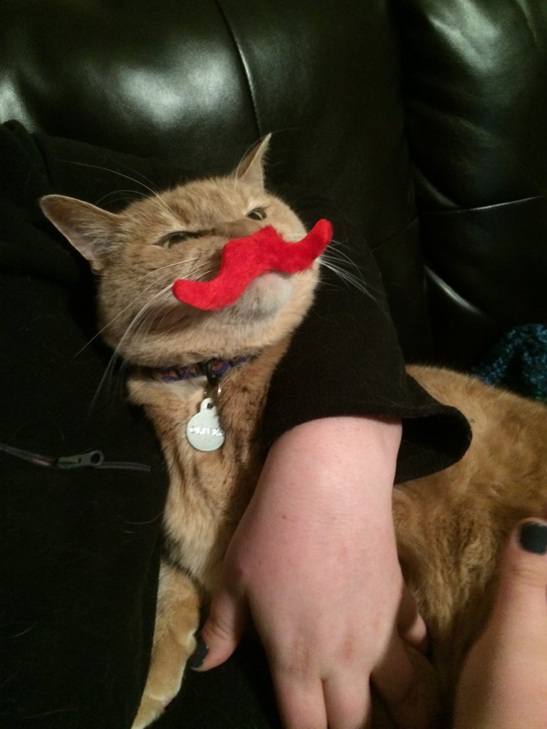image.jpeg