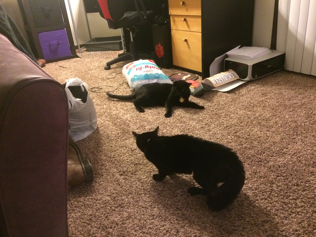 image.jpeg