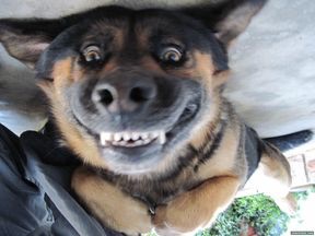 image.jpg