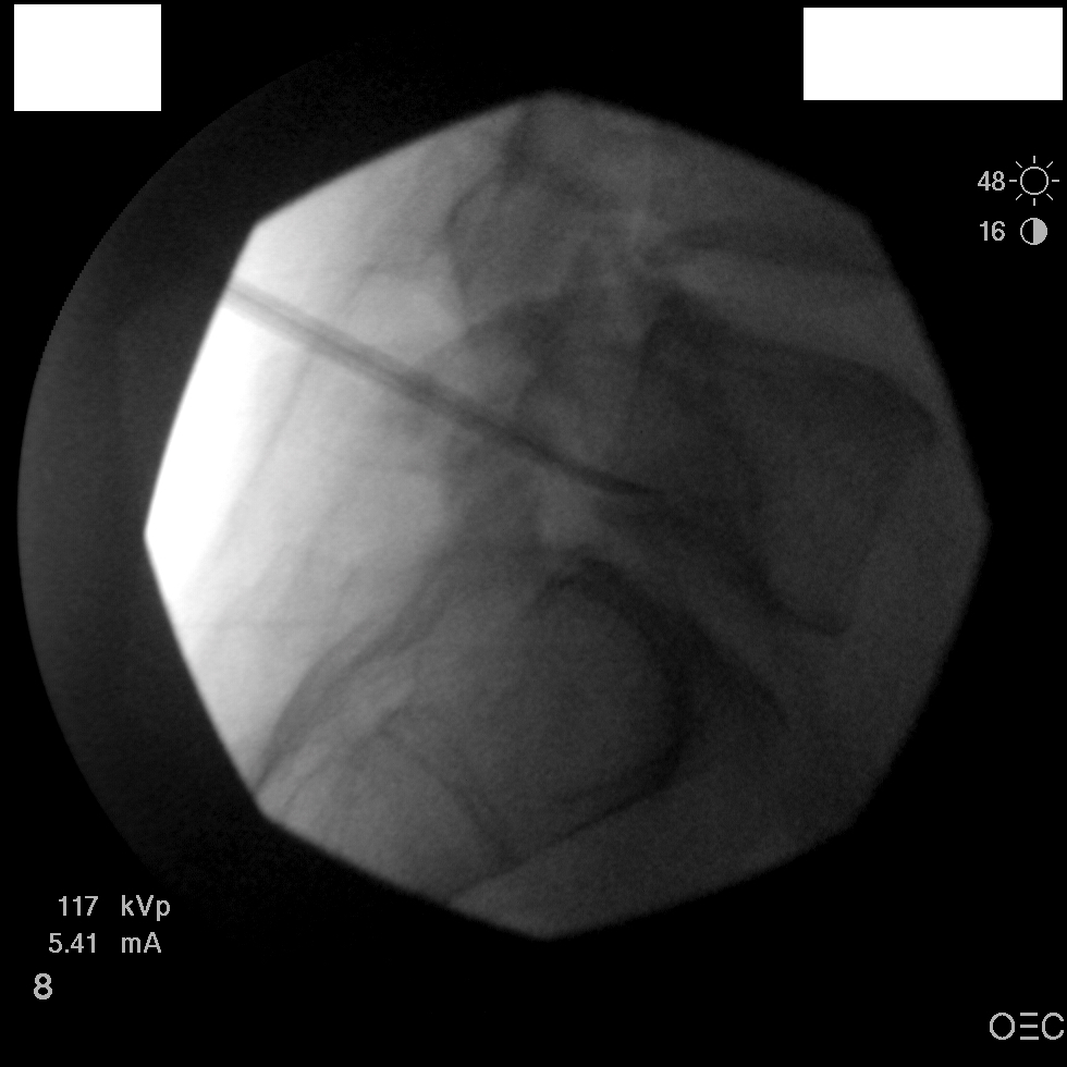 IMAGE008.jpeg