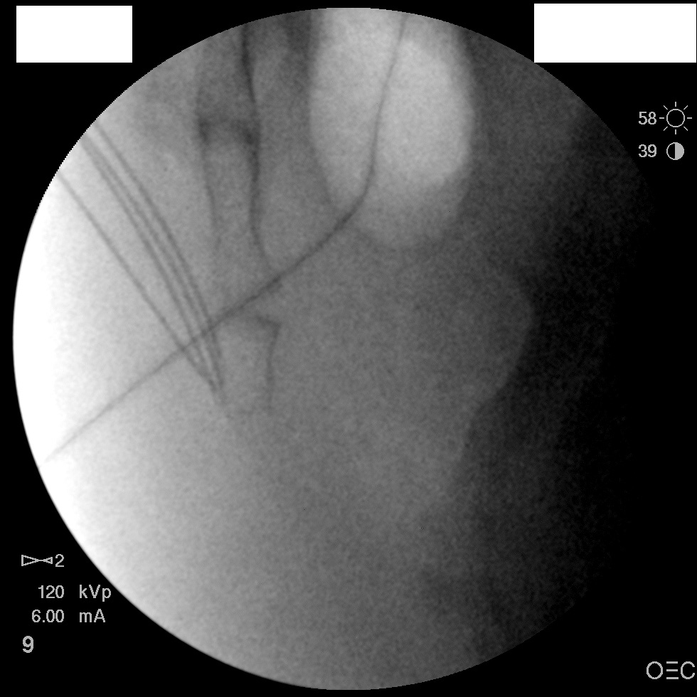 IMAGE009.jpeg