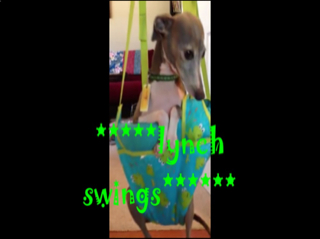 ImageUploadedBySDN Mobile1397681398.228352.jpg