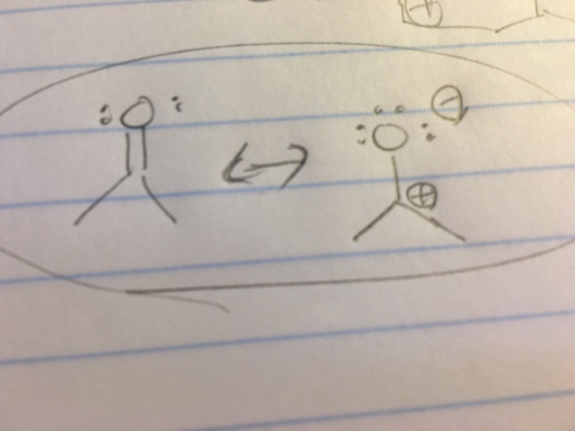 ImageUploadedBySDN1477507046.297975.jpg
