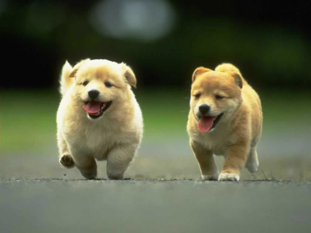 ImageUploadedBySDN1486427634.785636.jpg