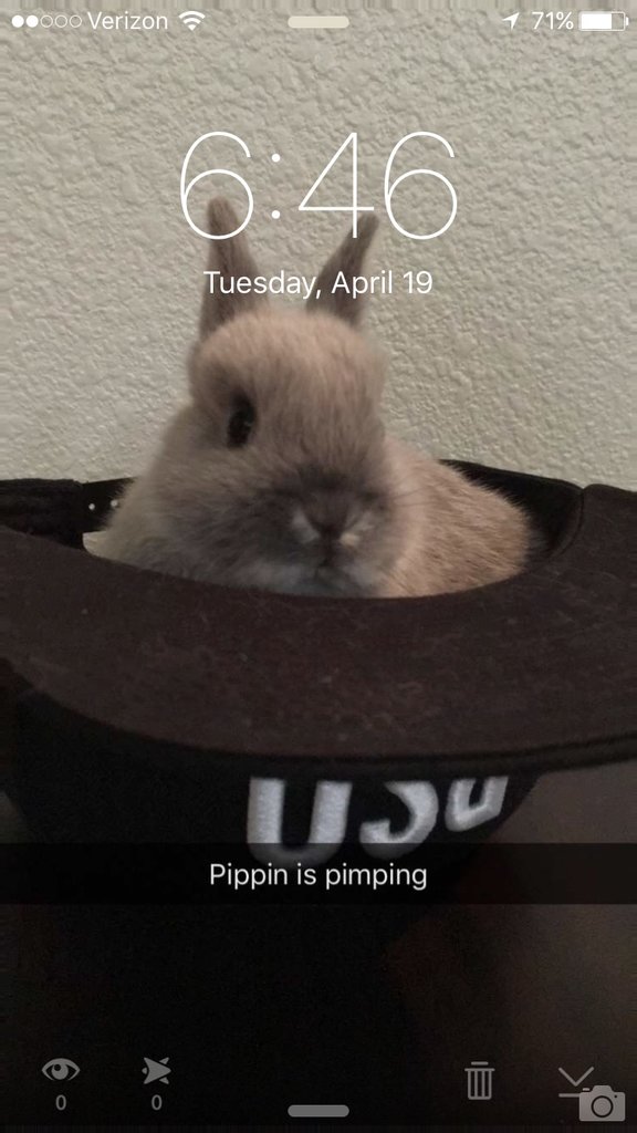 ImageUploadedBySDN1489941465.804174.jpg
