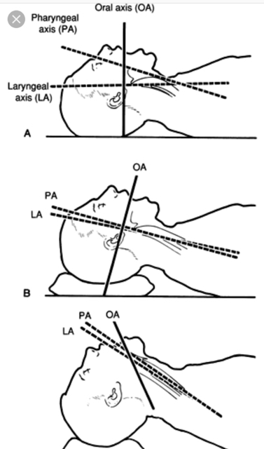 ImageUploadedBySDN1525976785.532127.jpg