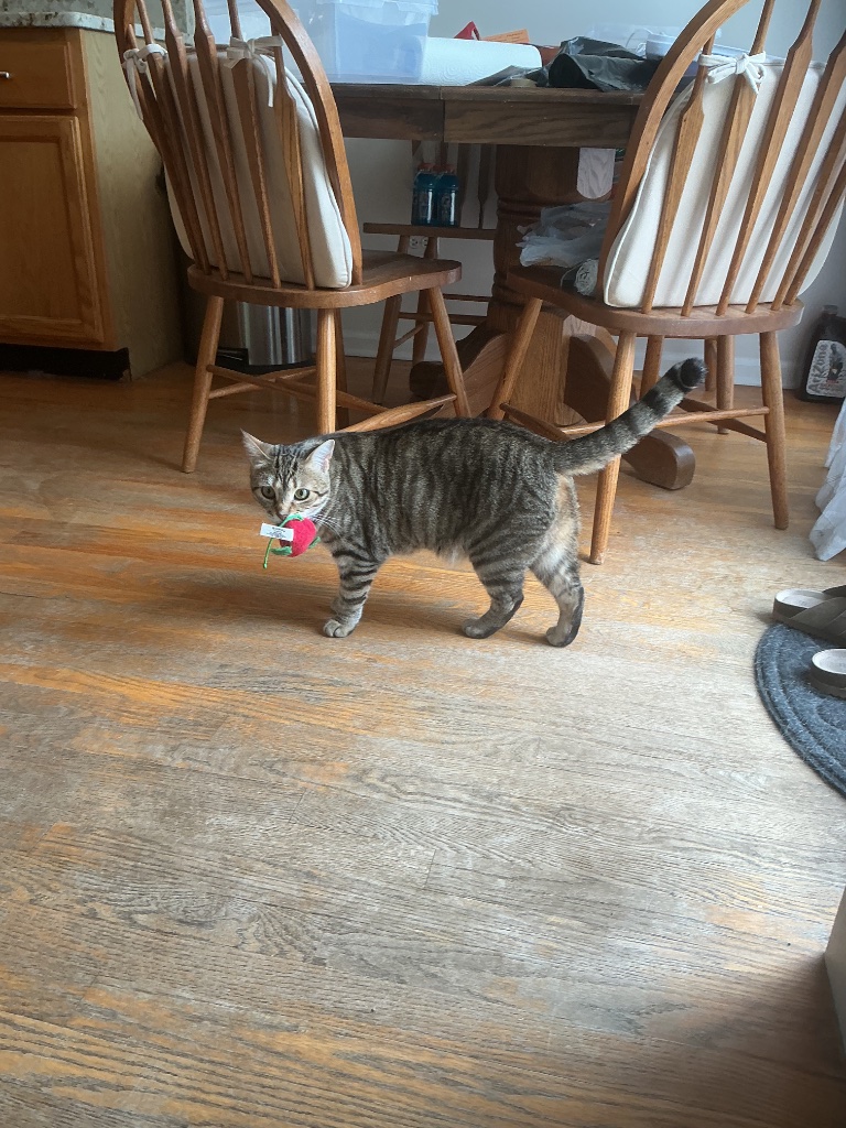 IMG_0030.jpeg
