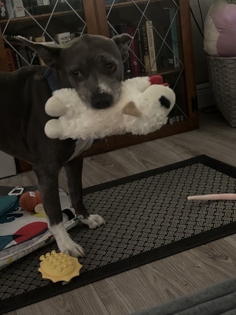 IMG_0566.jpeg