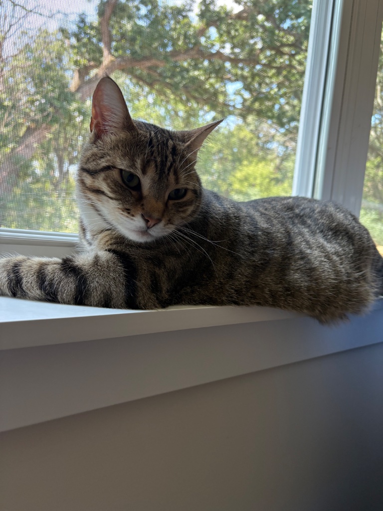 IMG_0694.jpeg