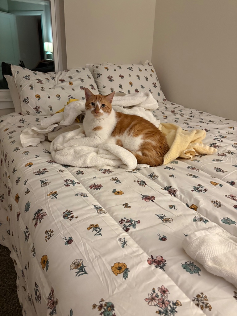 IMG_0708.jpeg