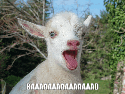 IMG_1355.gif.7f3638eb19b94c40a22f61623b8289ff-ezgif.com-added-text.gif
