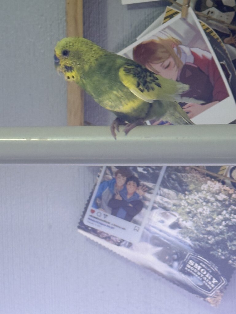 IMG_6459.jpeg