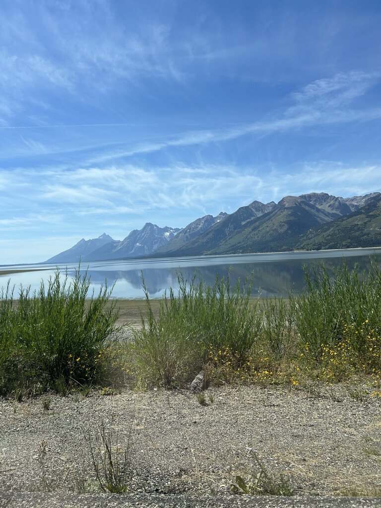 IMG_9127.jpeg