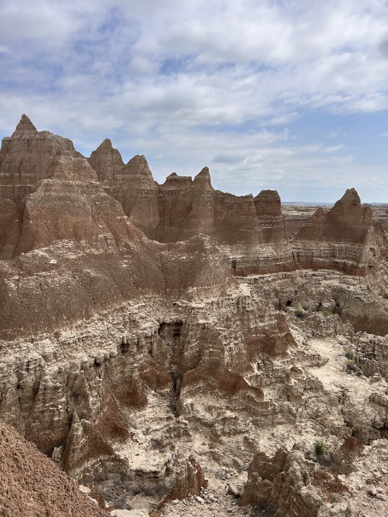 IMG_9164.jpeg