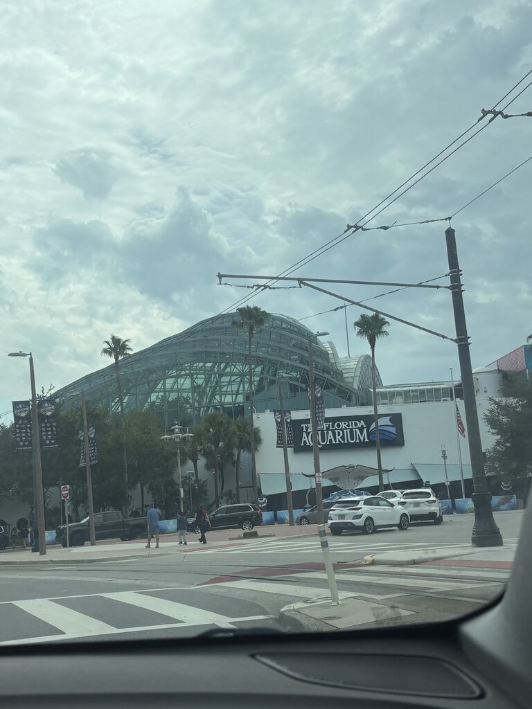 IMG_9469.jpeg