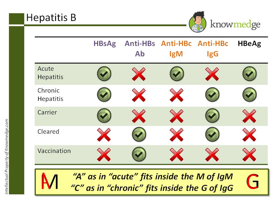 Internal Medicine Hepatitis B.jpg