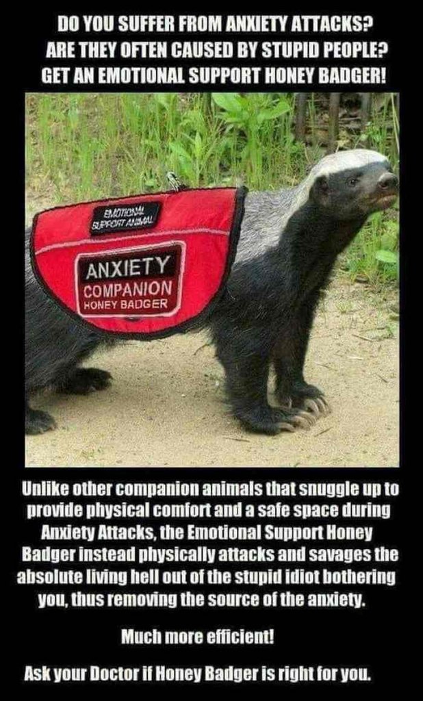 l-24512-honey-badger-dont-give-a-****.jpeg