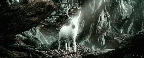 lotr-lord.gif