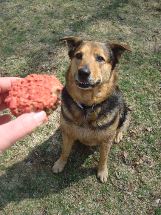 Luna meat cupcake.jpg